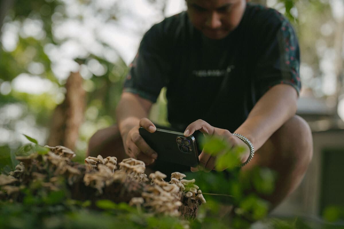 Tren Freelancer, Pilihan Jadi Profesional Tanpa Ikatan